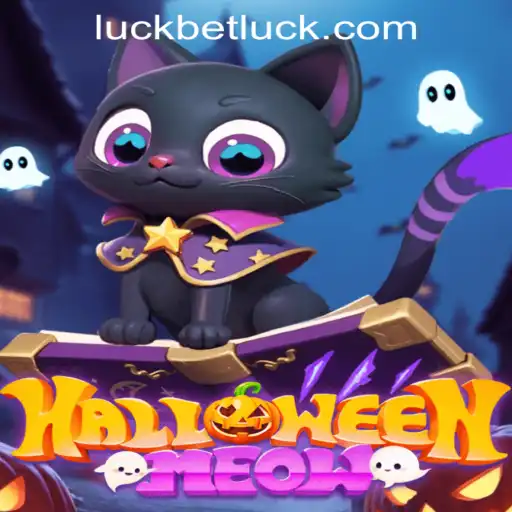 HalloweenMeow: A Spooky Adventure with a Twist of Luckbet